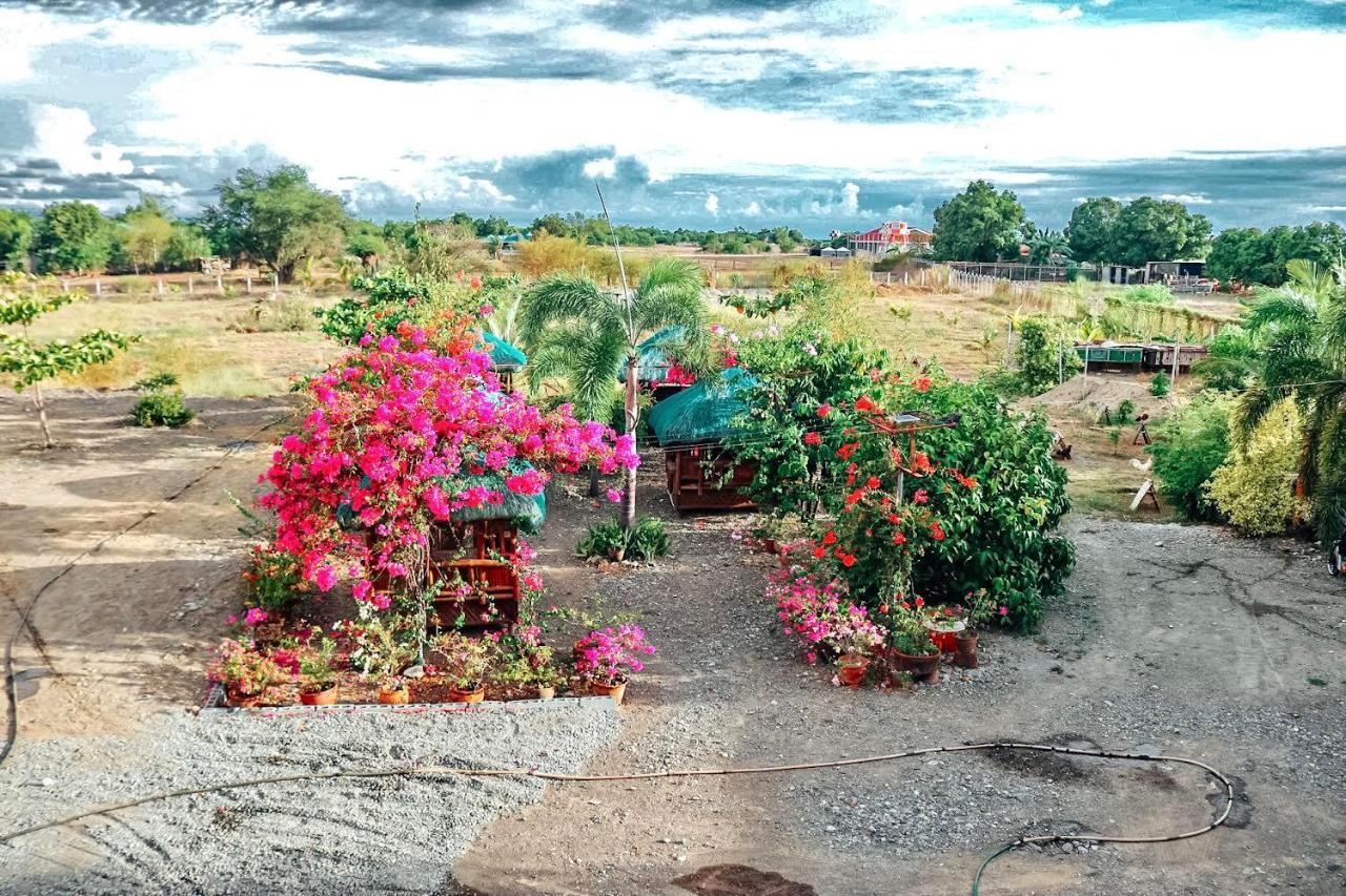 Airport View Hotel Vigan Luaran gambar
