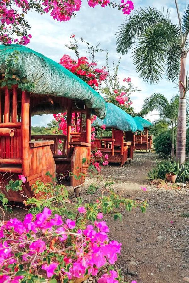 Airport View Hotel Vigan Luaran gambar